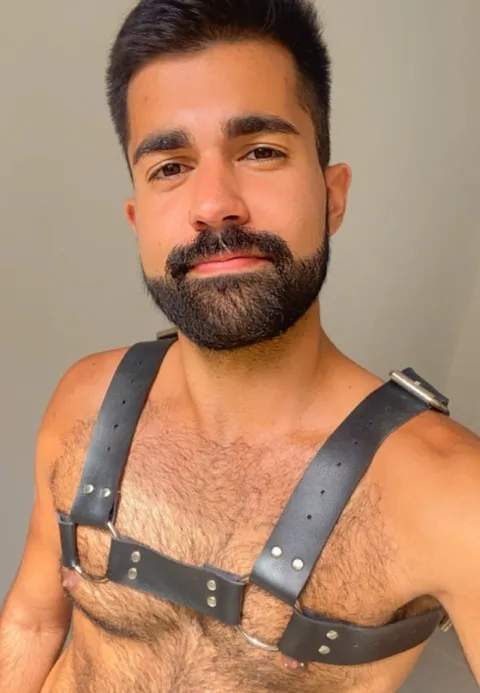 Furry Horny OnlyFans
